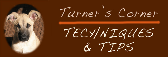 Turner's Corner