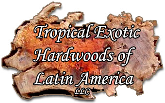 Tropical Exotic Logo